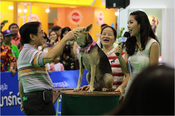 Pet Show