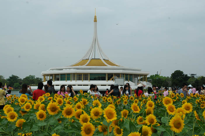 Flowers Festival