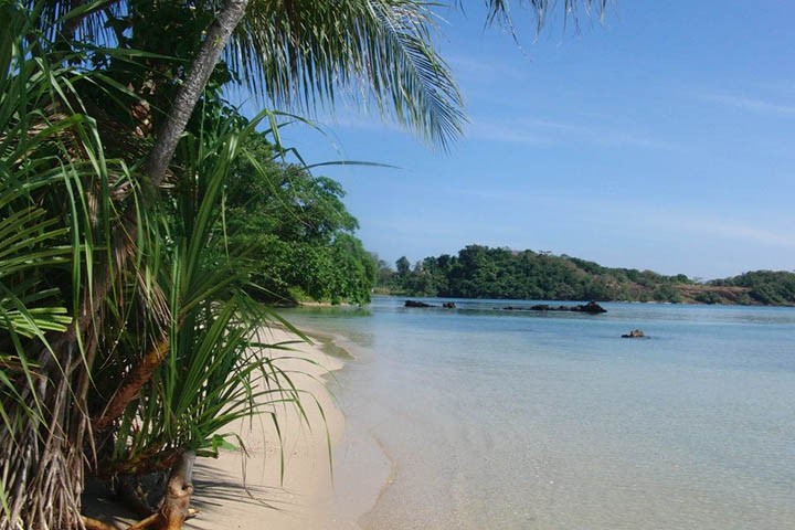 kohmak