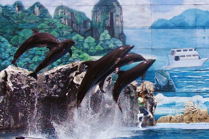 safari world