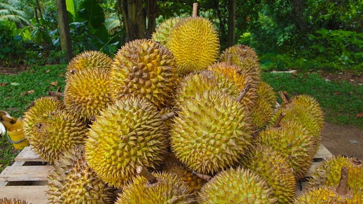 Durian