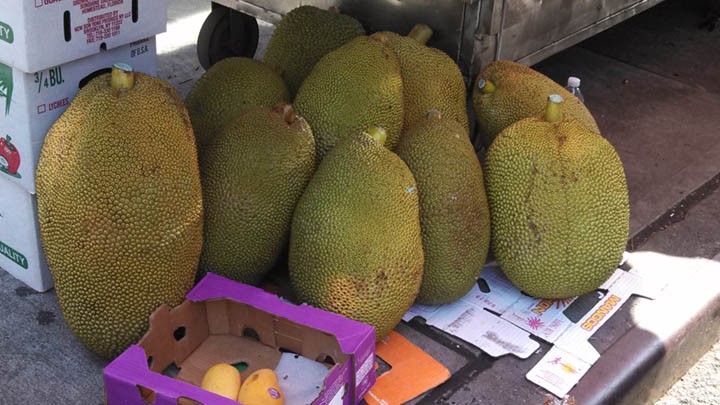 jackfruit