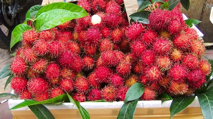 rambutan
