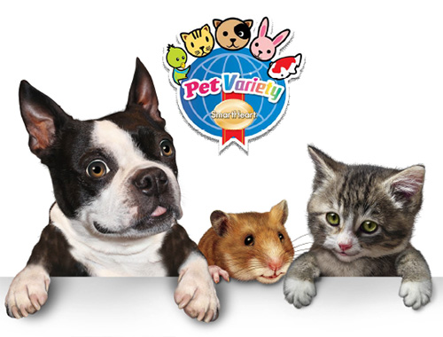 Pet in Wonderland